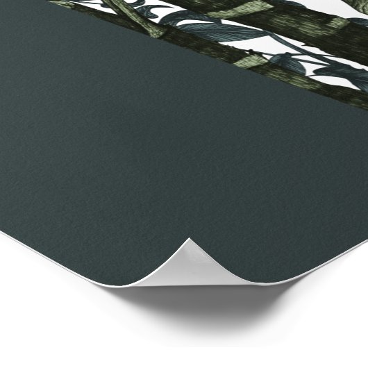 Poster Collection Roseplatine® (Coin)