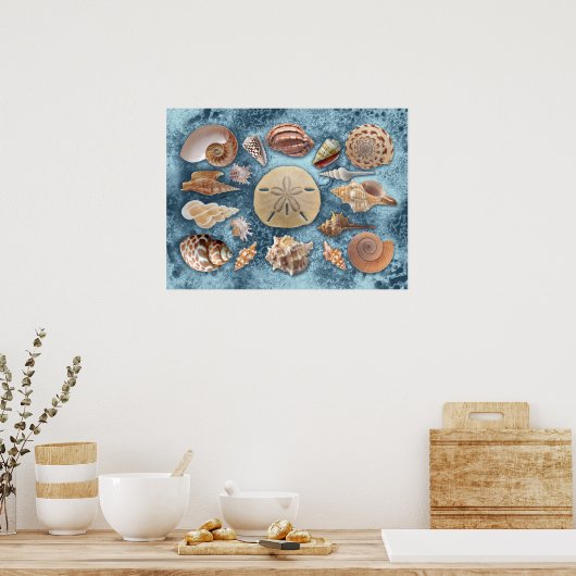 Poster Collection Seashells (Cuisine)