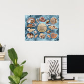Poster Collection Seashells (Bureau à domicile)