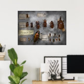 Poster Collectionneur de bugs - La collection d'insectes (Bureau à domicile)