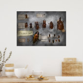 Poster Collectionneur de bugs - La collection d'insectes (Cuisine)