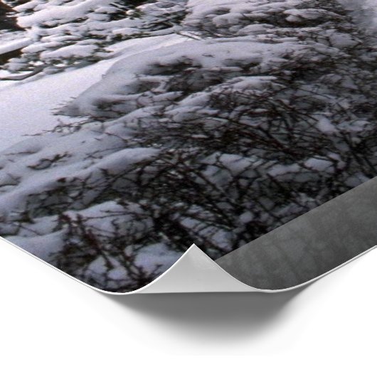 Poster College of New Rochelle, New Rochelle, New York, U (Coin)