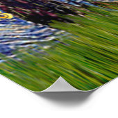 Poster Collie 1 - Nuit étoilée (Coin)