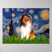 Poster Collie 1 - Nuit étoilée (Devant)