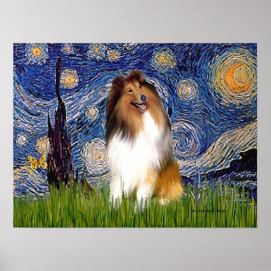 Poster Collie 1 - Nuit étoilée (Devant)