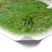 Poster Collie 8R002D-16 barrée (Coin)