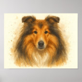 Poster Collie Aquarelle Portrait - L'art du chien bien-ai (Devant)