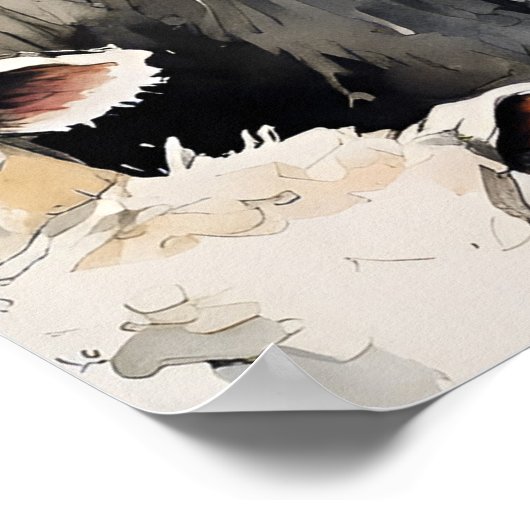 Poster Collie - Art Chien Imprimer (Coin)