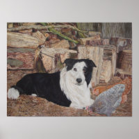 collie chien à la frontière dans un hangar à bois