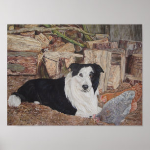 Poster collie chien à la frontière dans un hangar à bois