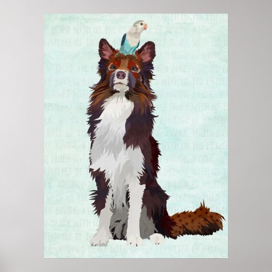 POSTER COLLIE COLORÉE ET OISEAU BLEU (Devant)