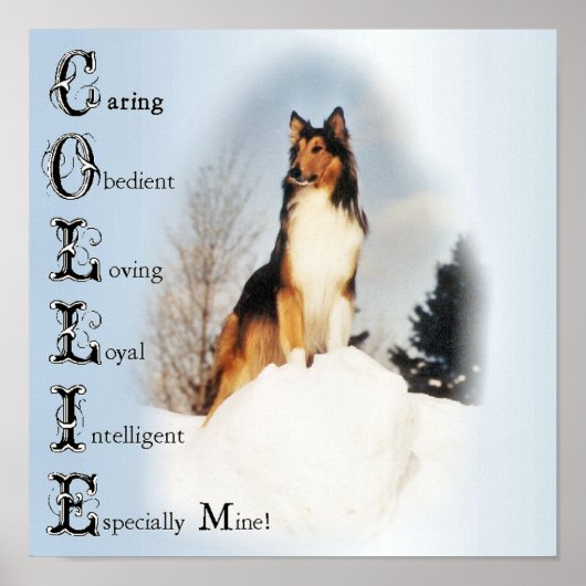 Poster Collie Est... Rough Collie Art (Devant)