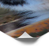 POSTER COLLIE FRONTALIÈRE (Coin)