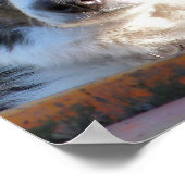 POSTER COLLIE FRONTALIÈRE (Coin)