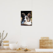 POSTER COLLIE FRONTALIÈRE (Cuisine)
