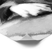 POSTER COLLIE FRONTALIÈRE (Coin)