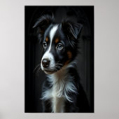 Poster Collie frontière mignonne (Devant)