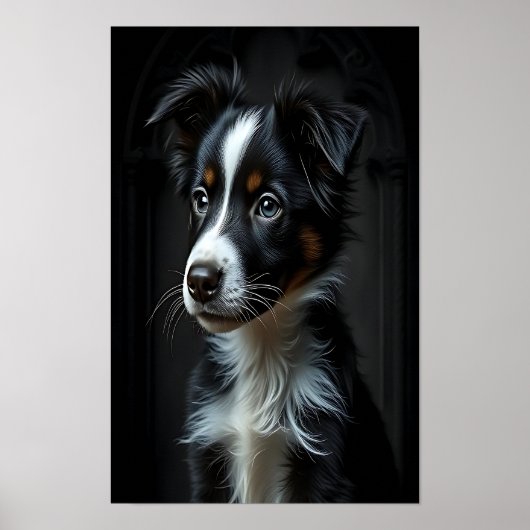 Poster Collie frontière mignonne (Devant)