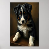 Poster Collie frontière mignonne (Devant)