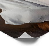 Poster Collie In Chefs Hat Poster, Pet Poster, Collie In (Coin)