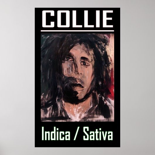 POSTER COLLIE INDICA SATIVA (Devant)