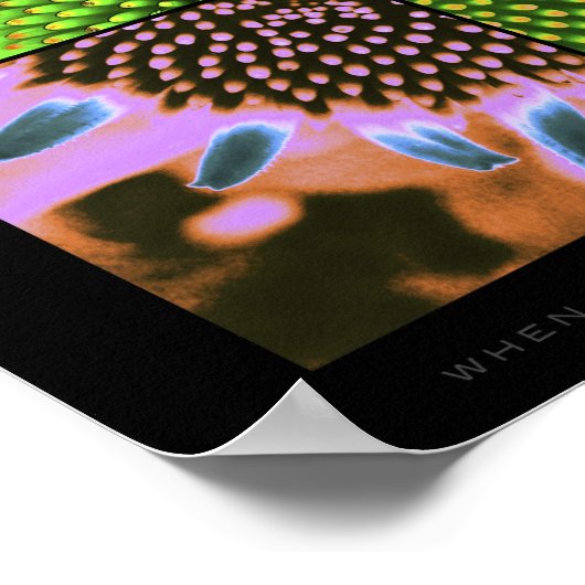 POSTER COLLIER (Coin)