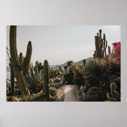 POSTER COLLINE CACTI (Devant)