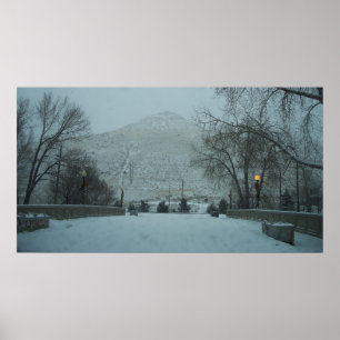 Poster Colline de novice