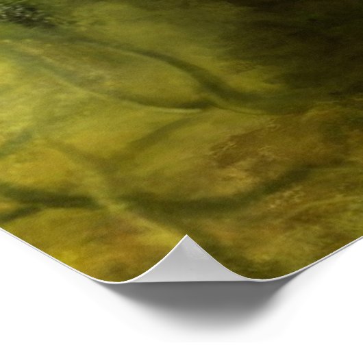 Poster colline silencieuse (Coin)