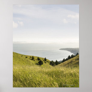 Poster Collines côtières, Bolinas Ridge, la Californie