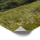 Poster Collines de Pennsylvanie (Coin)