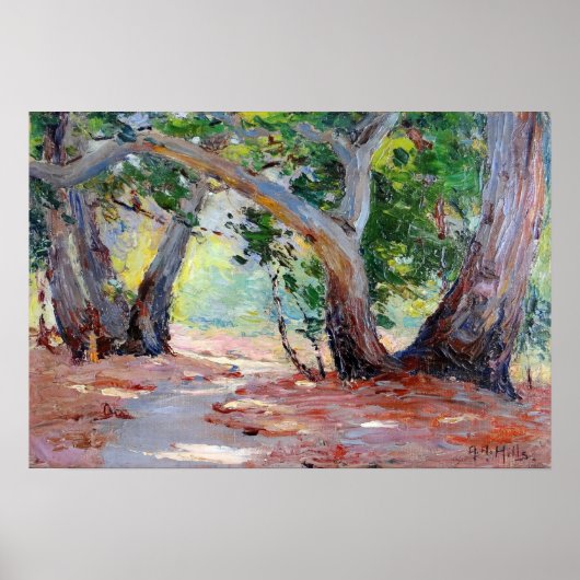 Poster Collines - Sunshine Shadow Orange County Park (Devant)