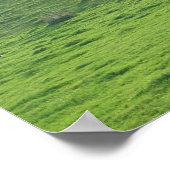 Poster Collines sur 227 (Coin)