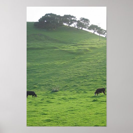Poster Collines sur 227 (Devant)