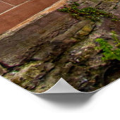 Poster Colmar, Alsace, France Photo pittoresque (Coin)