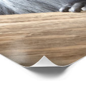 Poster Colobus polykomos (Coin)