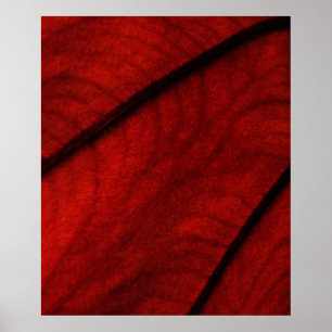 Poster Colocasie rouge et noire Abstraite