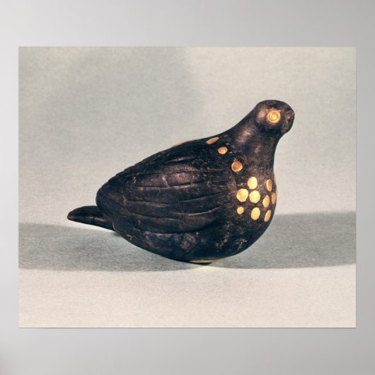 Poster colombe (Devant)