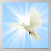 Poster colombe (Devant)