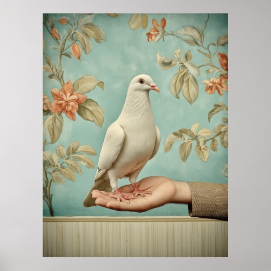 Poster Colombe blanche paisible (Devant)