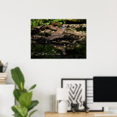 Poster colombe européenne (Bureau à domicile)