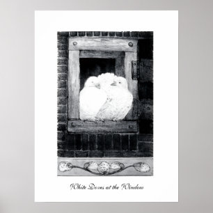 Poster COLOMBES BLANCHES À LA FENÊTRE, noir et blanc