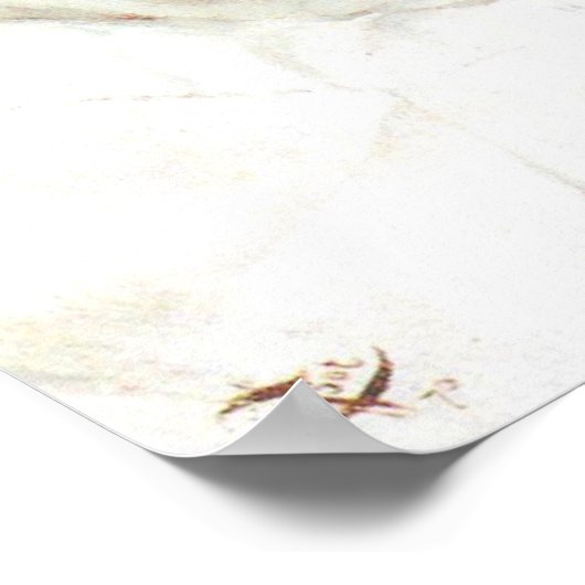 Poster Colonel Frederick Gustavus Burnaby par James Tisso (Coin)