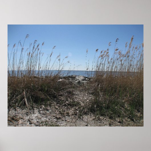 Poster Colonial Beach 1 (Devant)