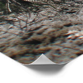 Poster Colonial Beach 1 (Coin)