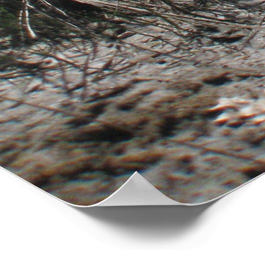 Poster Colonial Beach 1 (Coin)