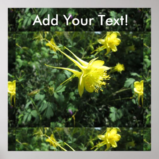 Poster Colonne (Devant)