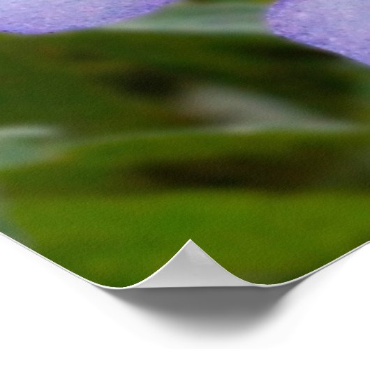 Poster Colonne bleue (Coin)