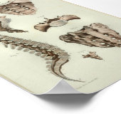 Poster Colonne de colonne vertébrale d'impression de l'an (Coin)