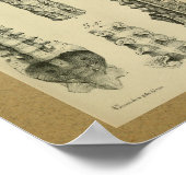 Poster Colonne de colonne vertébrale d'impression de l'an (Coin)